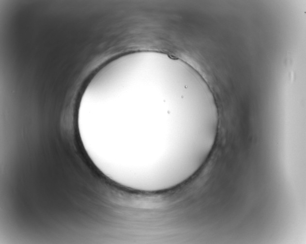 X0000088750008200706212123