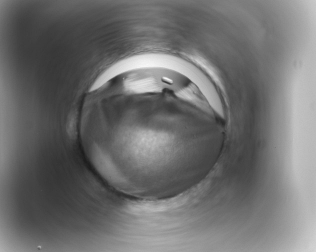 X0000088750009200706212123