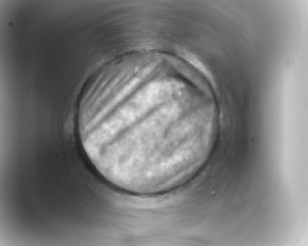 X0000088750010200706212123