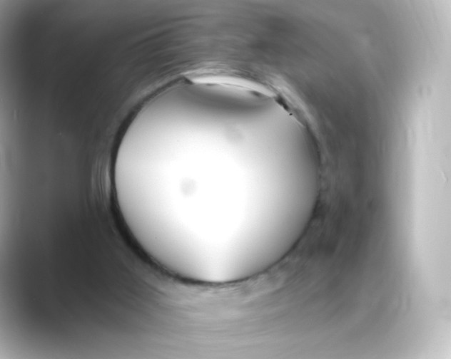 X0000088750011200706212123