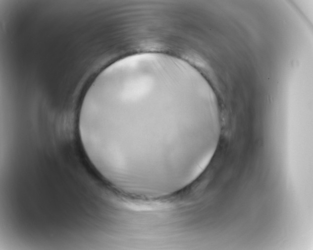 X0000088750012200706212123