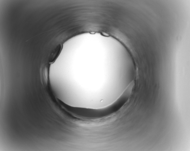 X0000088750013200706212123