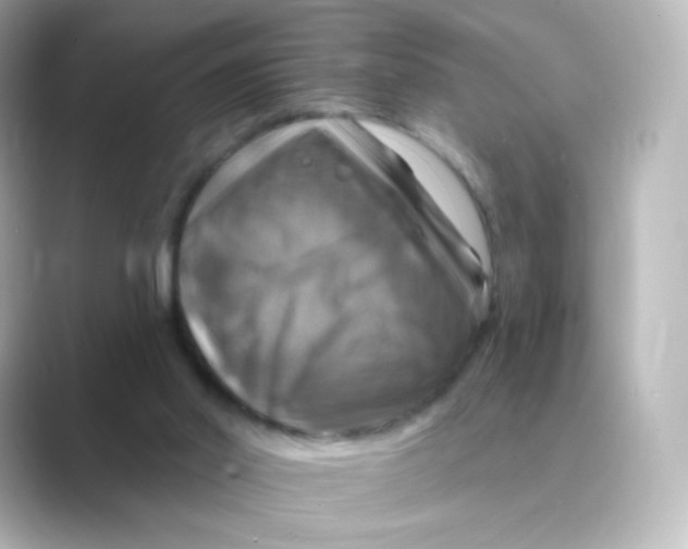 X0000088750014200706212123