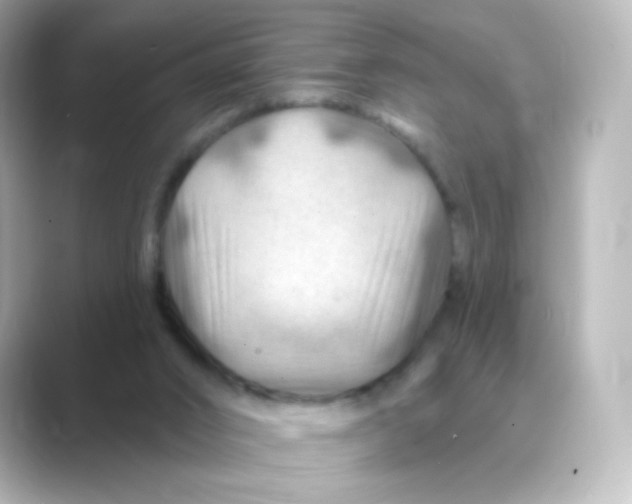 X0000088750016200706212123