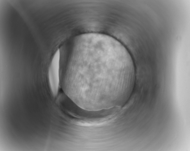 X0000088750017200706212123