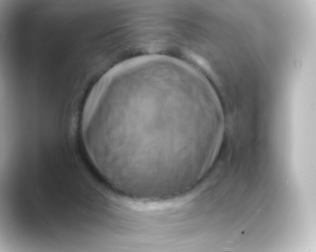 X0000088750018200706212123