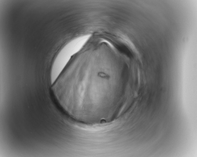 X0000088750019200706212123