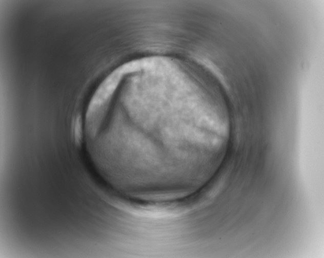 X0000088750020200706212123