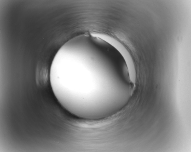 X0000088750021200706212123