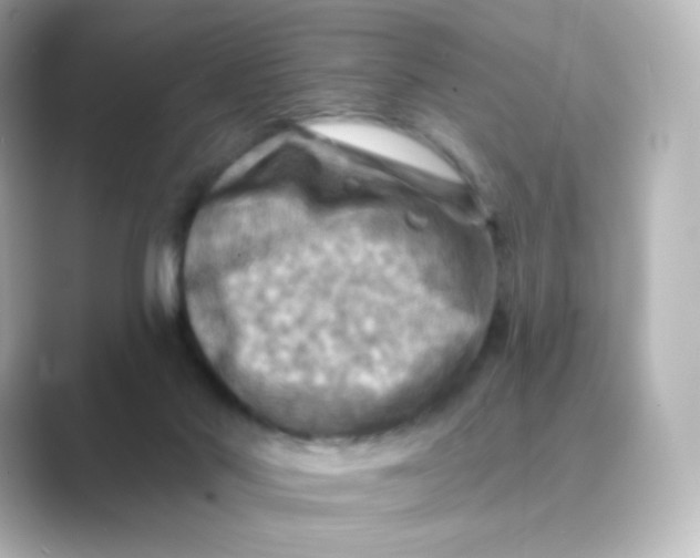 X0000088750022200706212123