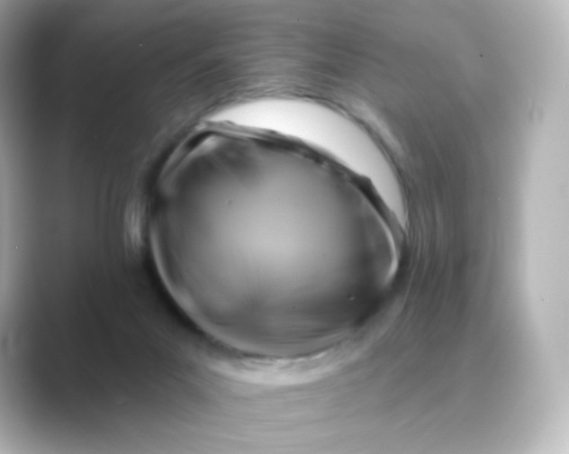 X0000088750023200706212123