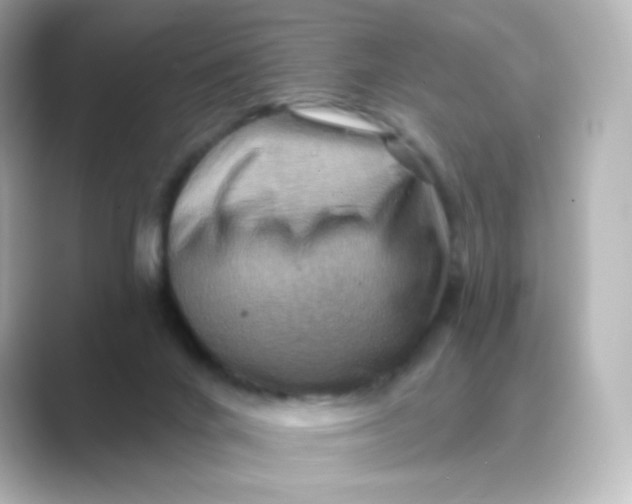 X0000088750024200706212123