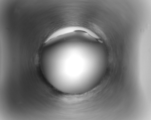 X0000088750025200706212123