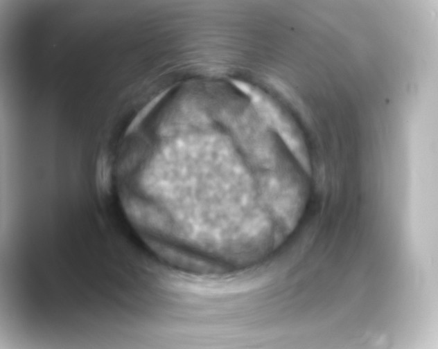 X0000088750026200706212123