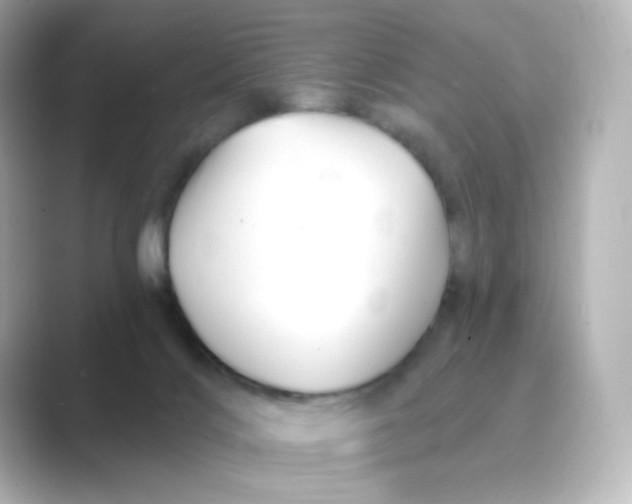 X0000088750028200706212123