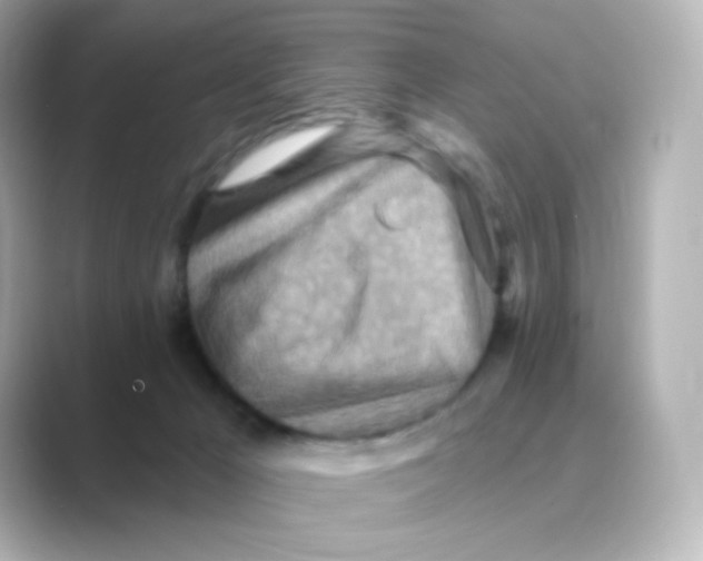 X0000088750029200706212123