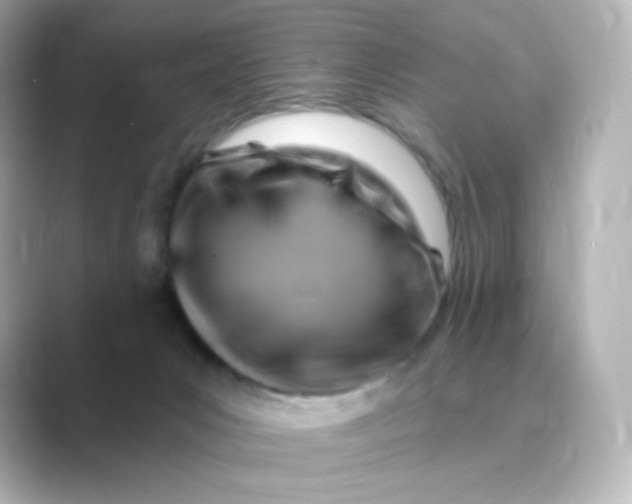 X0000088750031200706212122