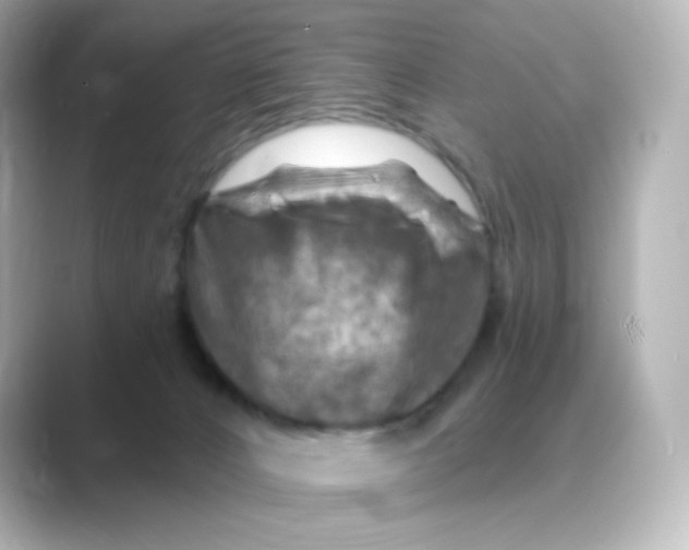 X0000088750032200706212122