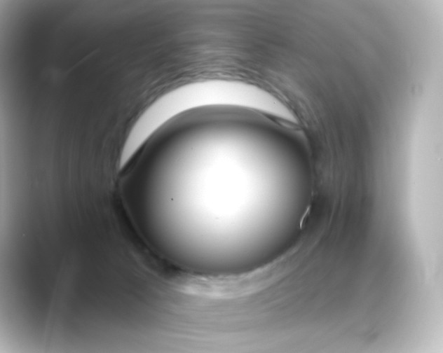 X0000088750033200706212122