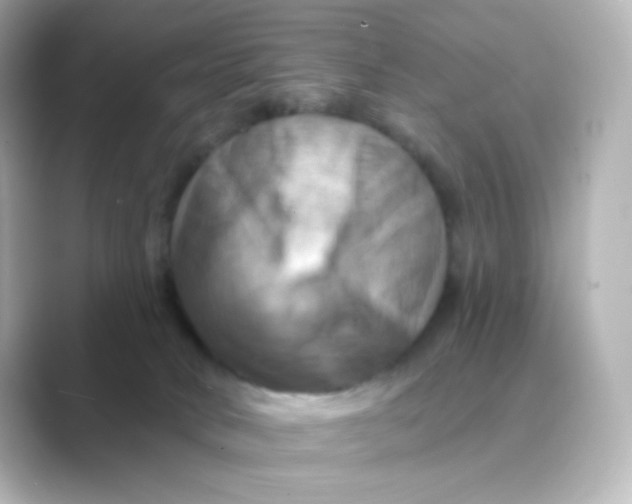 X0000088750034200706212122