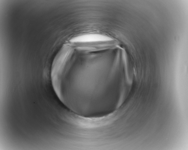 X0000088750035200706212122