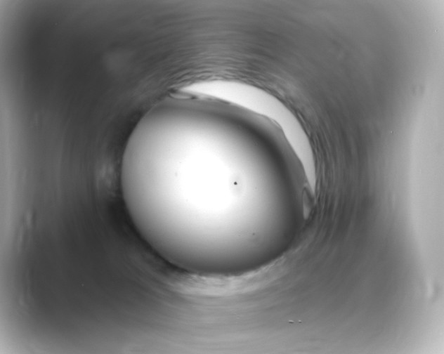 X0000088750037200706212122