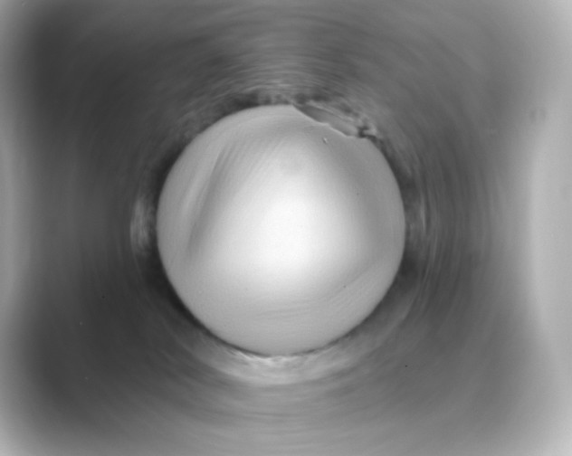 X0000088750038200706212122