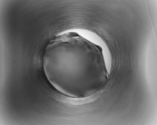 X0000088750039200706212122