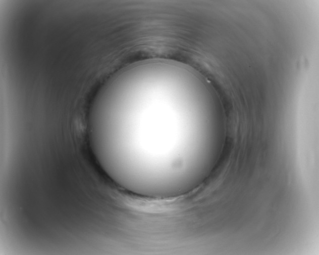 X0000088750040200706212122