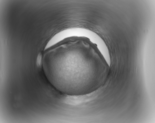 X0000088750041200706212122