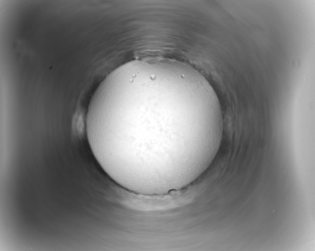 X0000088750042200706212122