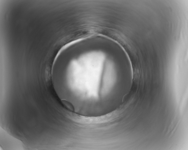 X0000088750043200706212122