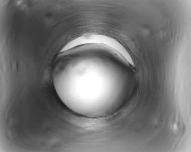 X0000088750044200706212122