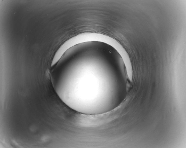 X0000088750045200706212122