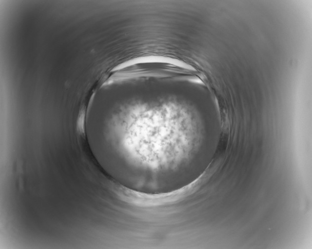 X0000088750047200706212122