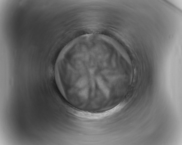 X0000088750048200706212122