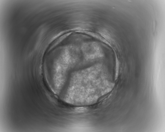 X0000088750050200706212122