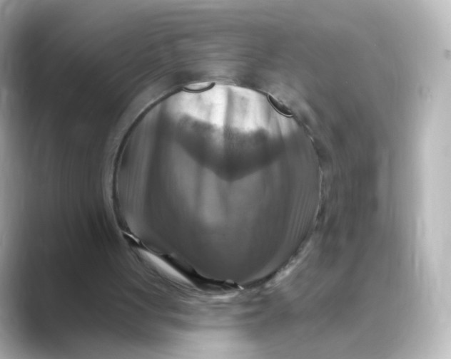 X0000088750051200706212122