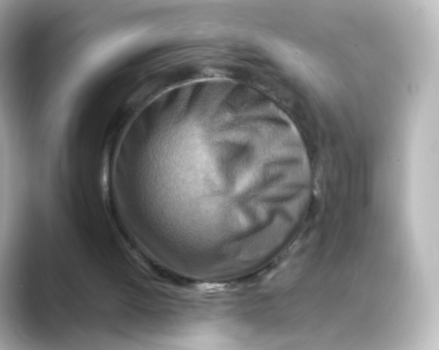 X0000088750052200706212122