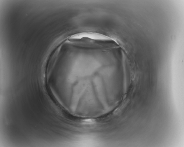 X0000088750053200706212122