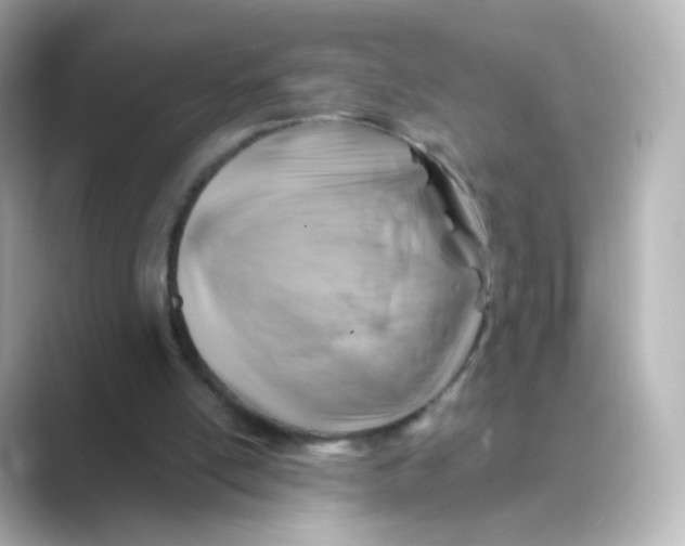 X0000088750054200706212122