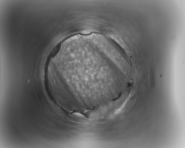 X0000088750055200706212122