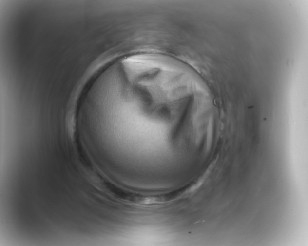 X0000088750056200706212122