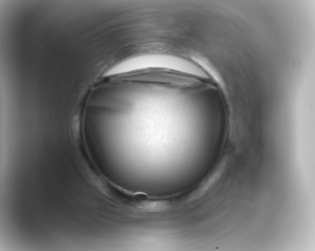 X0000088750057200706212122