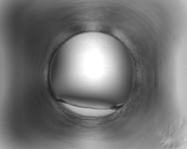 X0000088750058200706212122