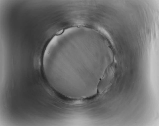 X0000088750059200706212122