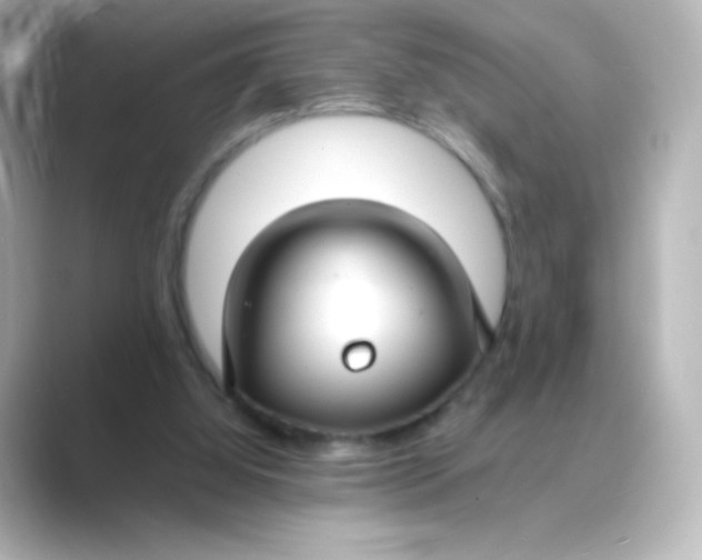 X0000088750060200706212122