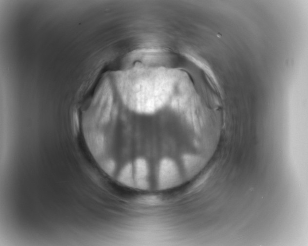 X0000088750061200706212122