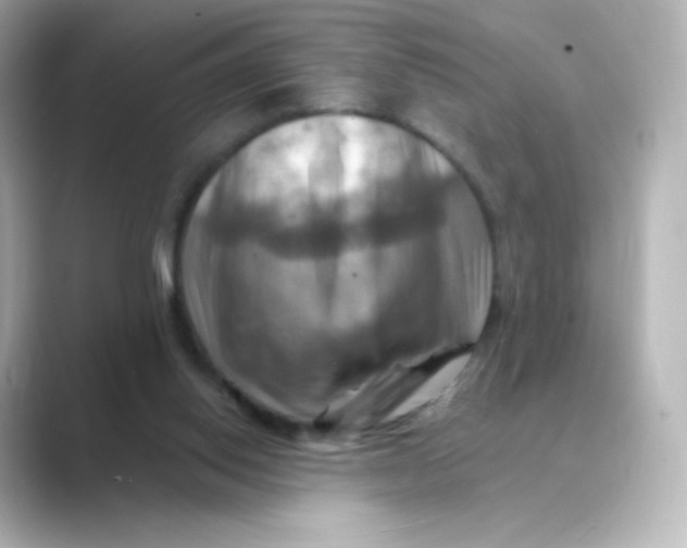 X0000088750062200706212122