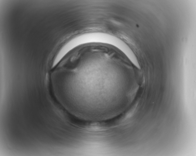 X0000088750064200706212122